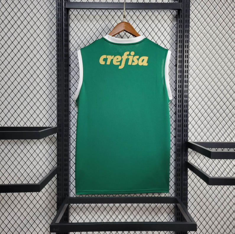 Regata Palmeiras Home 24/25 Torcedor Verde