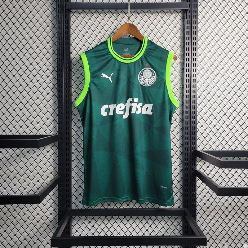 Regata Palmeiras Home 23/24 Torcedor verde