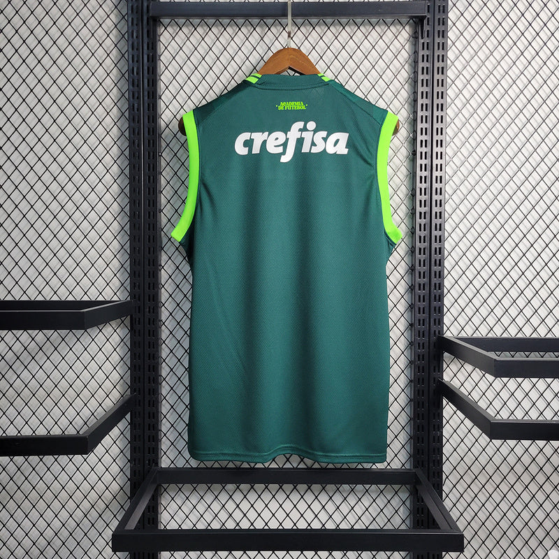 Regata Palmeiras Home 23/24 Torcedor verde